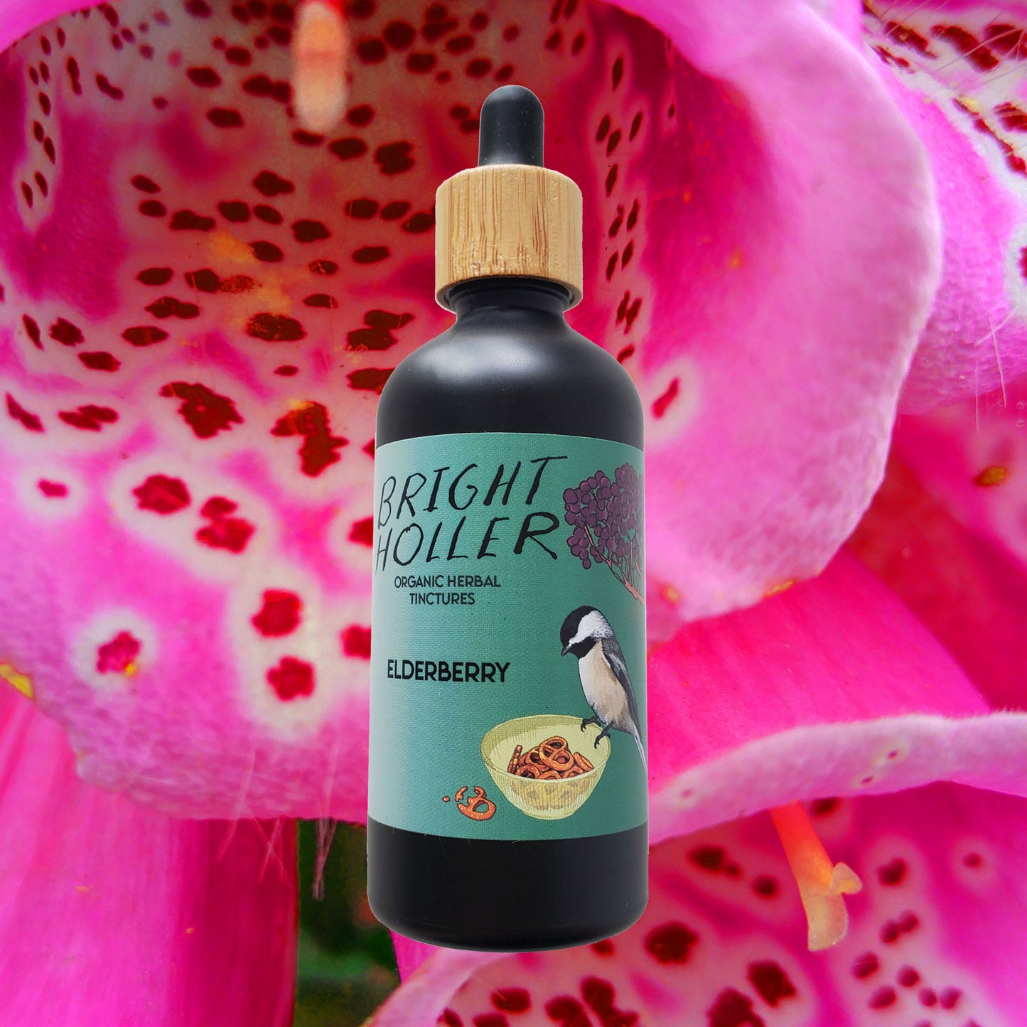 Wholesale: Elderberry