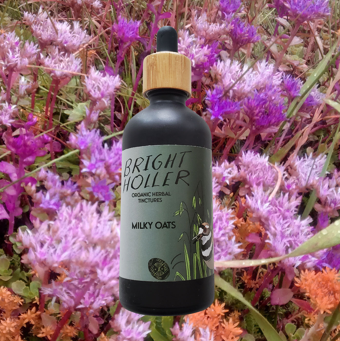 Wholesale: Milky Oats