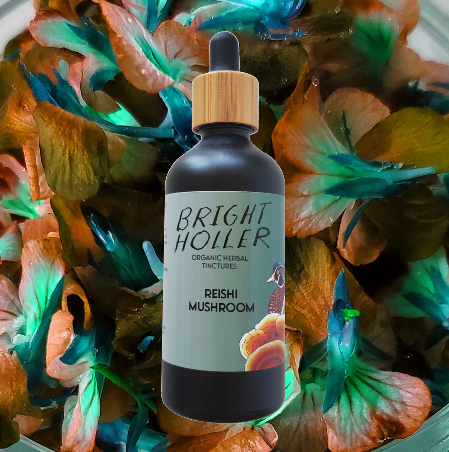 Wholesale: Reishi Mushroom