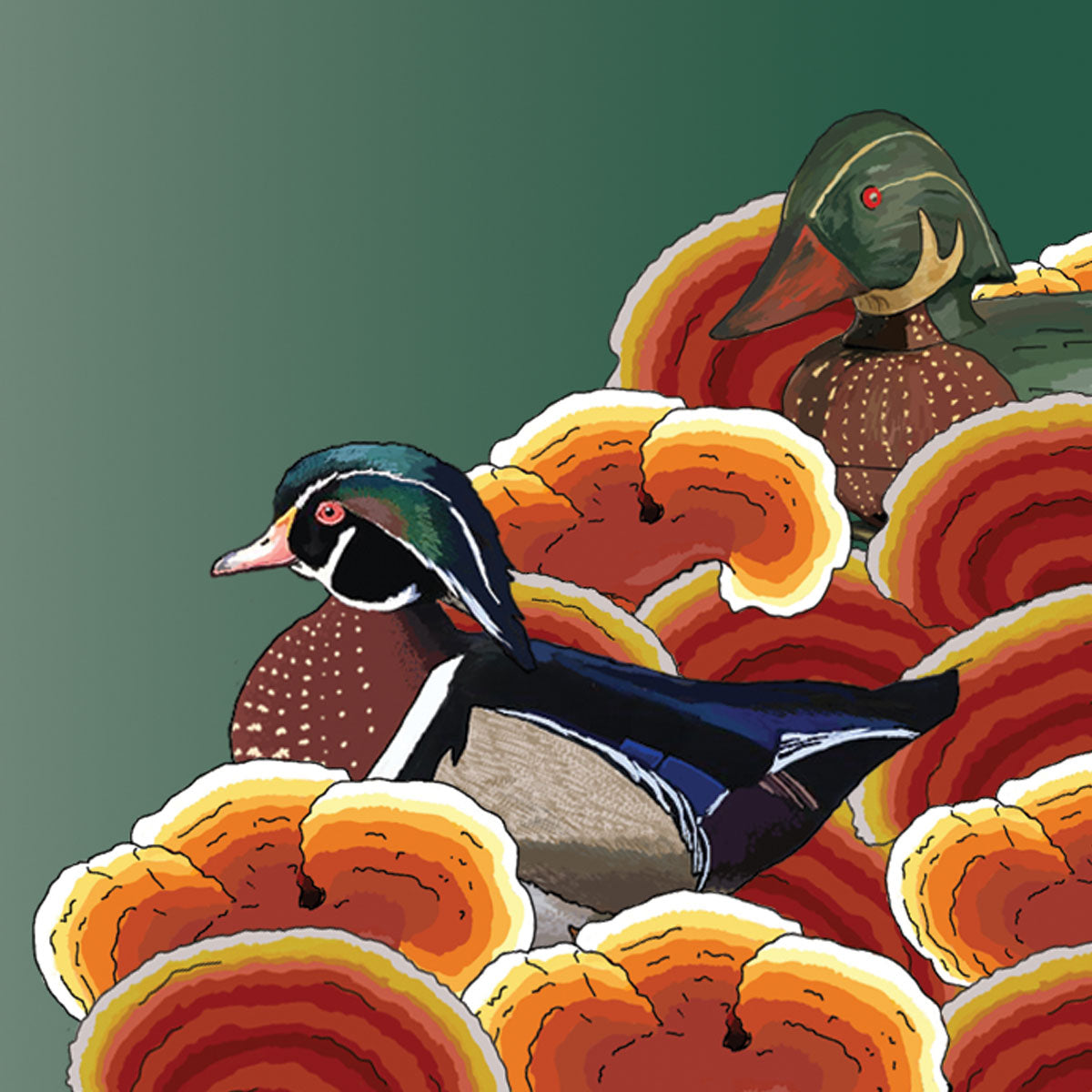 Wholesale: Reishi Mushroom