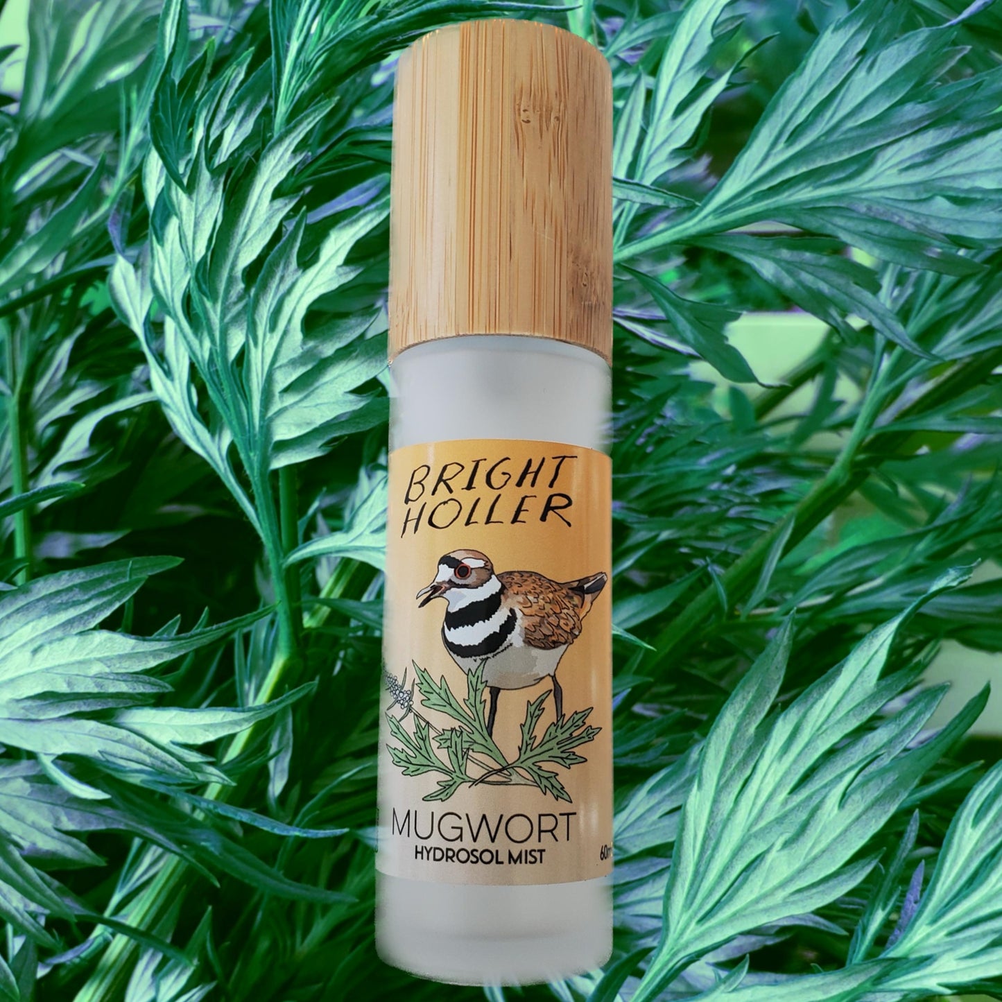 Mugwort Hydrosol