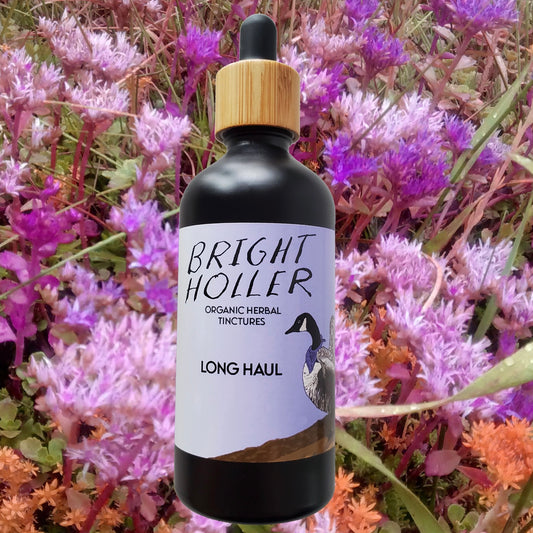 Long Haul  -Adaptogen Blend-