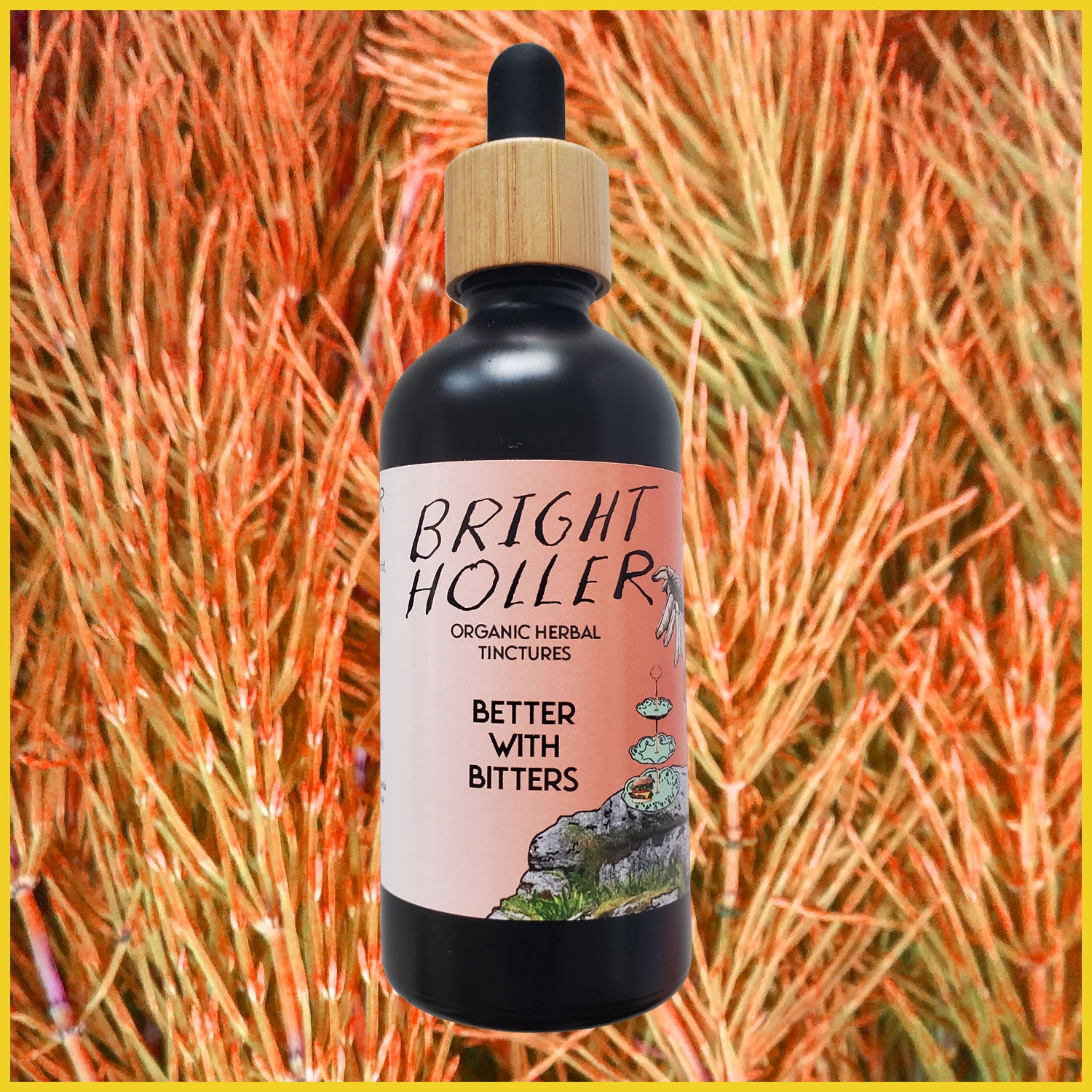 Better with Bitters   -Digestive Bitters Blend-